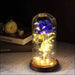 Enchanted Forever Rose Flower in Glass LED Light - A -