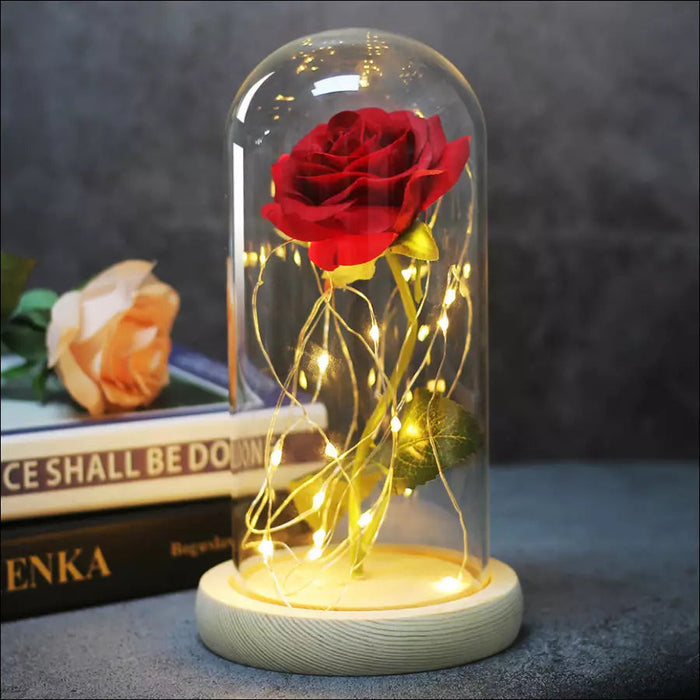 Enchanted Forever Rose Flower in Glass LED Light -