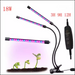 LED Fleshy Fill Plant Growth Lamp With Dimming - Decorative