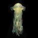 The Girl’s Room Is Decorated With Jellyfish Lamps - White -