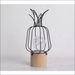 Iron Cactus Decorative Table Lamp - Pineapple / Black -