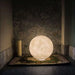 Modern Simple Moon Floor Lamp - decorative piece