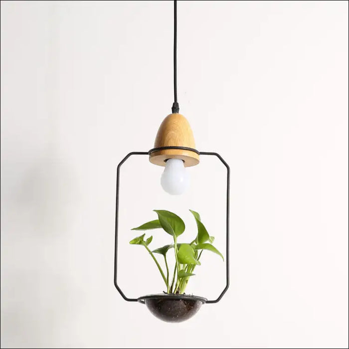 Plant Chandelier - A black / Three color light - decorative