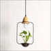 Plant Chandelier - A black / Three color light - decorative