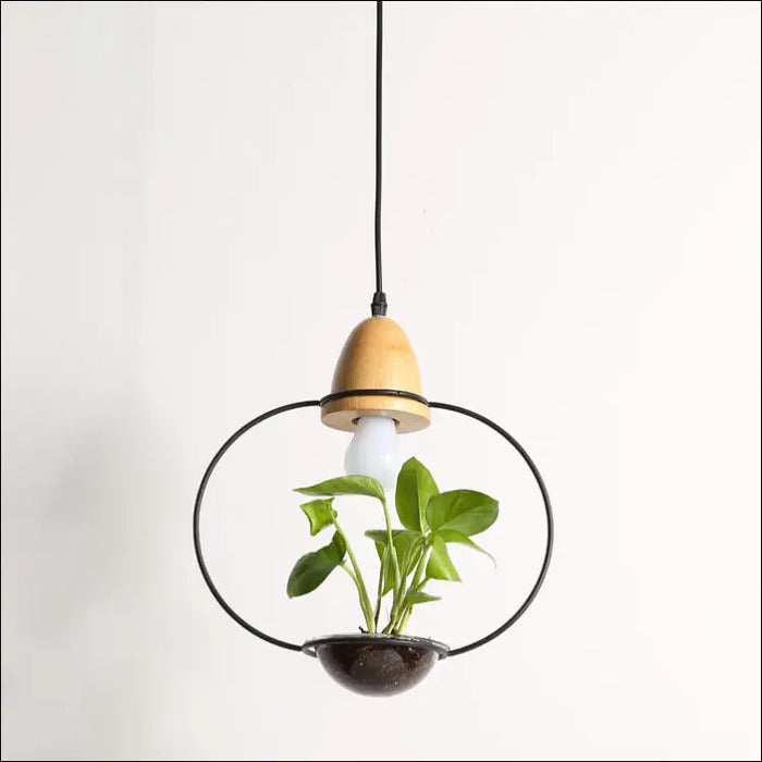 Plant Chandelier - decorative piece