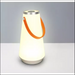LED Rechargeable Portable Lantern - white - Decorative Piece
