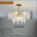 Simple Living Room Glass Chandelier - Double layer / 40cm -