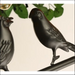 Walnut Chandelier Iron Bar Plant Bird Restaurant -